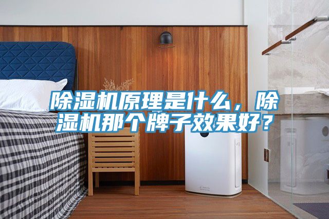 除濕機(jī)原理是什么，除濕機(jī)那個(gè)牌子效果好？