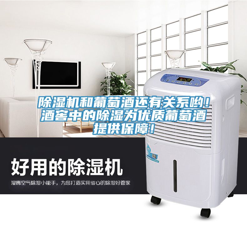 除濕機(jī)和葡萄酒還有關(guān)系喲！酒窖中的除濕為優(yōu)質(zhì)葡萄酒提供保障！