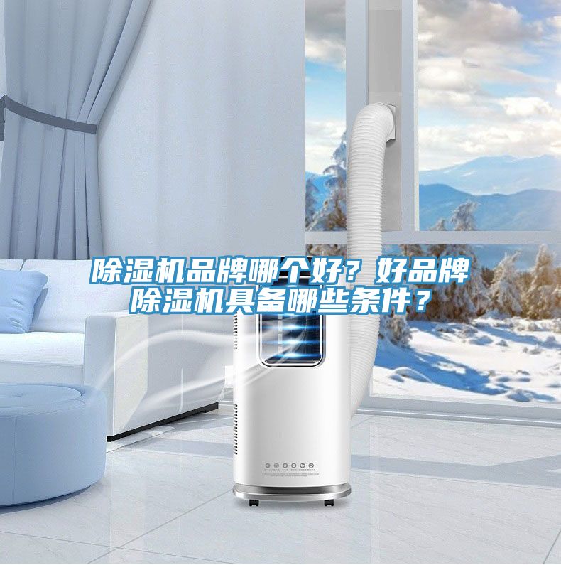 除濕機品牌哪個好？好品牌除濕機具備哪些條件？