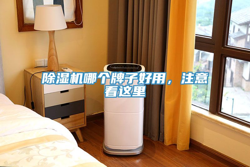 除濕機(jī)哪個牌子好用，注意看這里