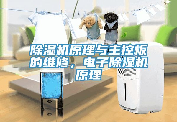 除濕機(jī)原理與主控板的維修，電子除濕機(jī)原理
