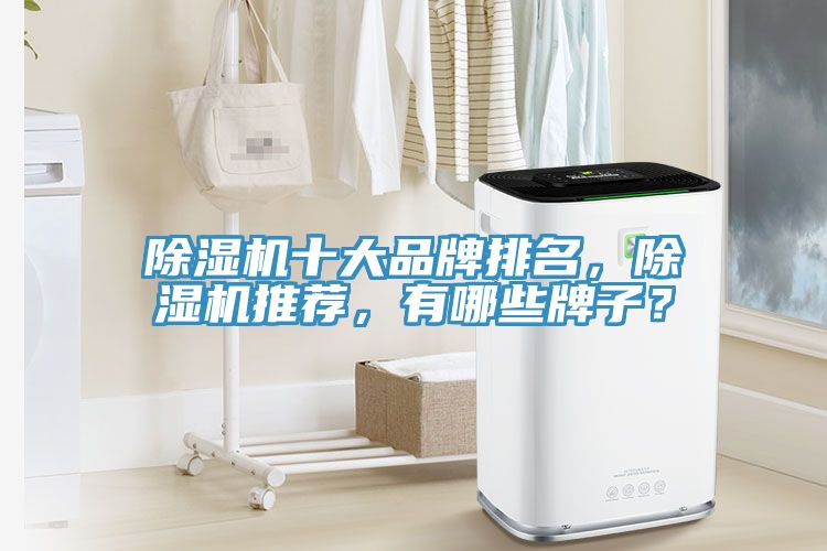 除濕機(jī)十大品牌排名，除濕機(jī)推薦，有哪些牌子？
