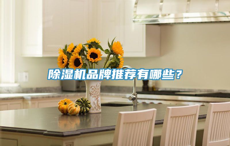 除濕機品牌推薦有哪些？