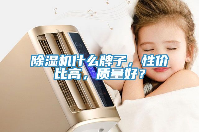 除濕機什么牌子，性價比高，質(zhì)量好？