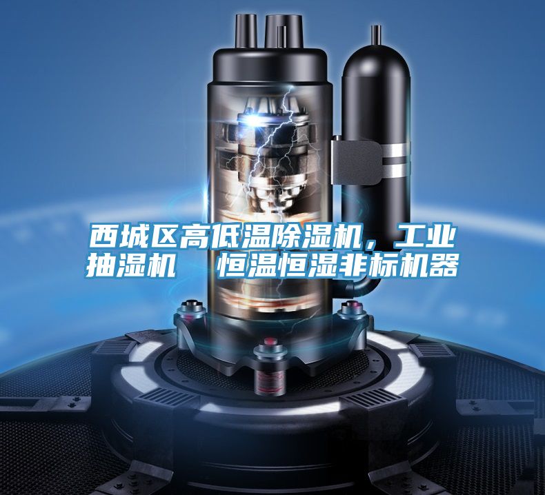西城區(qū)高低溫除濕機，工業(yè)抽濕機  恒溫恒濕非標機器