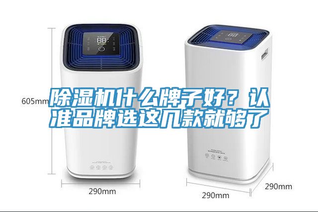 除濕機什么牌子好？認準(zhǔn)品牌選這幾款就夠了