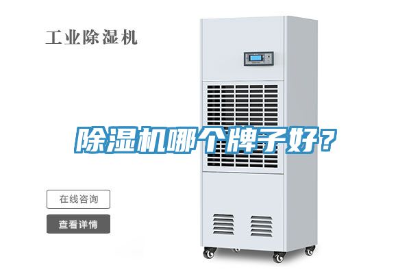 除濕機(jī)哪個(gè)牌子好？