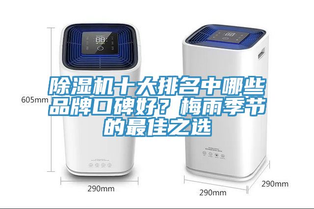 除濕機(jī)十大排名中哪些品牌口碑好？梅雨季節(jié)的最佳之選