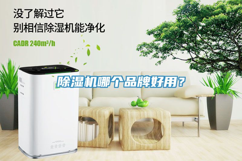 除濕機(jī)哪個(gè)品牌好用？