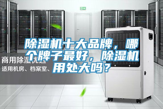 除濕機(jī)十大品牌，哪個(gè)牌子最好，除濕機(jī)用處大嗎？