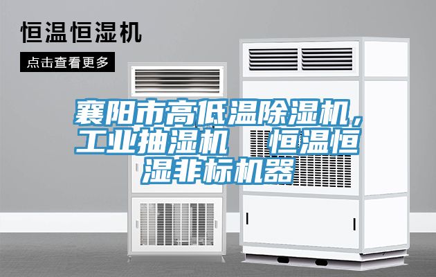 襄陽市高低溫除濕機(jī)，工業(yè)抽濕機(jī)  恒溫恒濕非標(biāo)機(jī)器