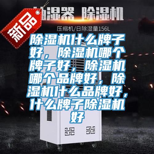 除濕機什么牌子好，除濕機哪個牌子好，除濕機哪個品牌好，除濕機什么品牌好，什么牌子除濕機好