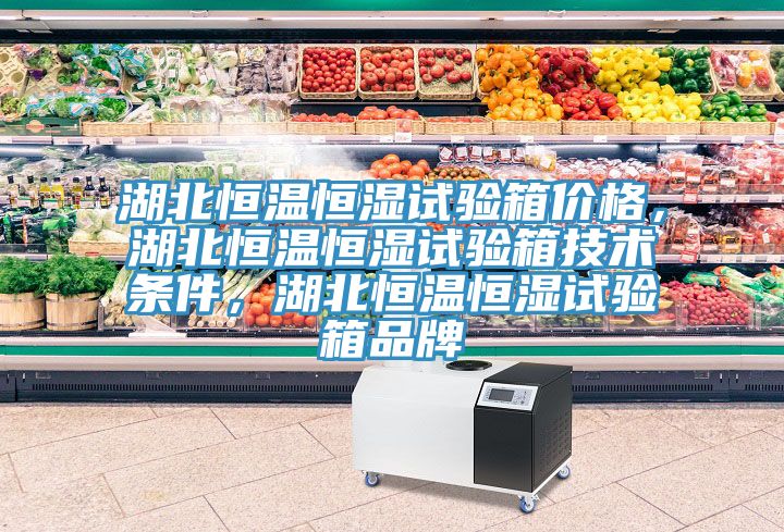 湖北恒溫恒濕試驗箱價格，湖北恒溫恒濕試驗箱技術(shù)條件，湖北恒溫恒濕試驗箱品牌