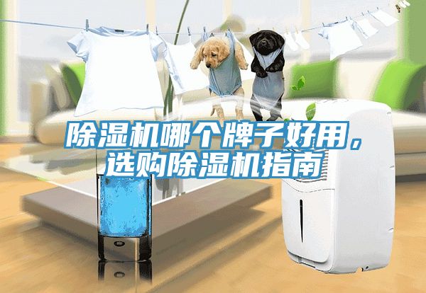 除濕機(jī)哪個牌子好用，選購除濕機(jī)指南