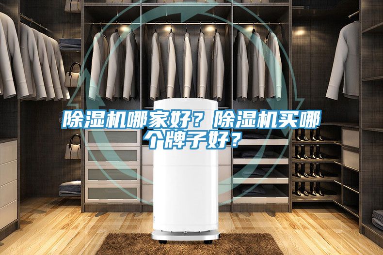 除濕機(jī)哪家好？除濕機(jī)買哪個(gè)牌子好？