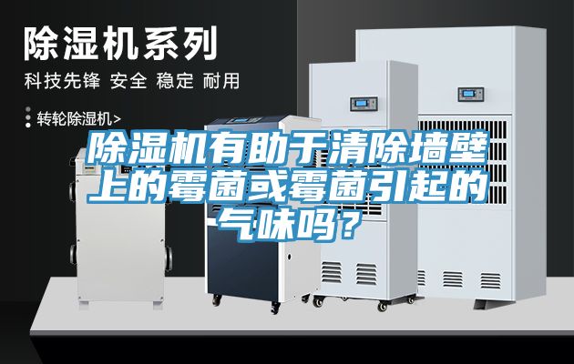 除濕機(jī)有助于清除墻壁上的霉菌或霉菌引起的氣味嗎？