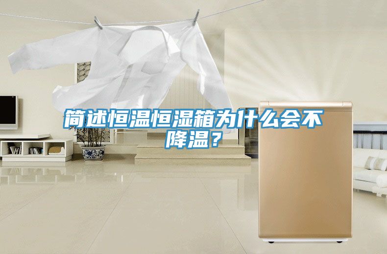 簡述恒溫恒濕箱為什么會不降溫？