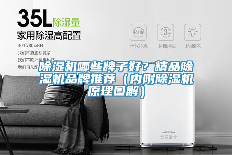 除濕機(jī)哪些牌子好？精品除濕機(jī)品牌推薦（內(nèi)附除濕機(jī)原理圖解）
