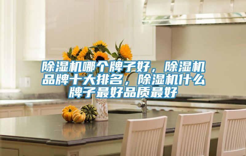 除濕機(jī)哪個牌子好，除濕機(jī)品牌十大排名，除濕機(jī)什么牌子最好品質(zhì)最好