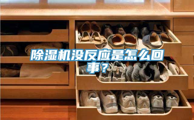 除濕機沒反應是怎么回事？