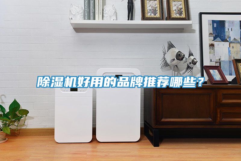 除濕機(jī)好用的品牌推薦哪些？
