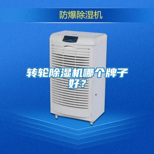 轉(zhuǎn)輪除濕機(jī)哪個牌子好？