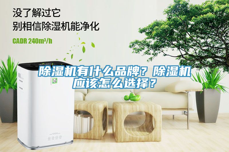 除濕機有什么品牌？除濕機應(yīng)該怎么選擇？
