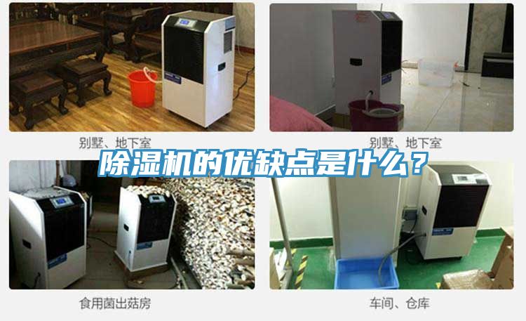 除濕機(jī)的優(yōu)缺點(diǎn)是什么？
