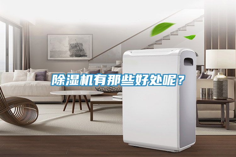 除濕機(jī)有那些好處呢？