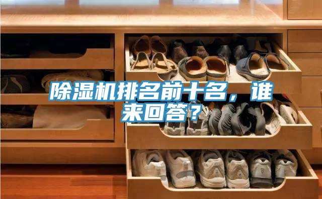 除濕機(jī)排名前十名，誰來回答？