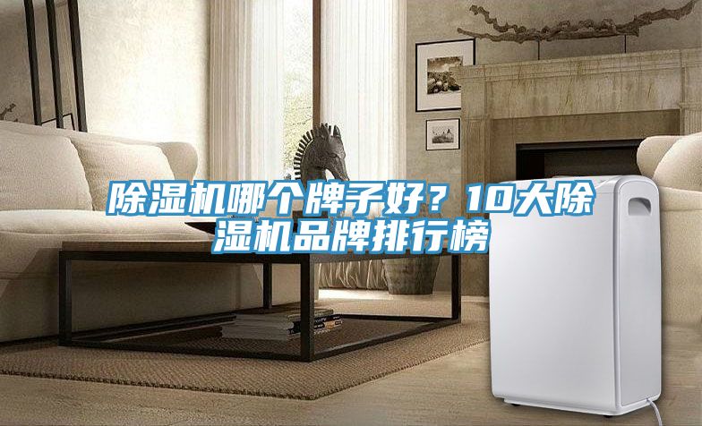 除濕機(jī)哪個牌子好？10大除濕機(jī)品牌排行榜