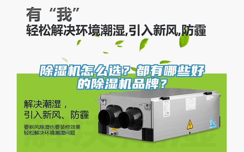 除濕機(jī)怎么選？都有哪些好的除濕機(jī)品牌？