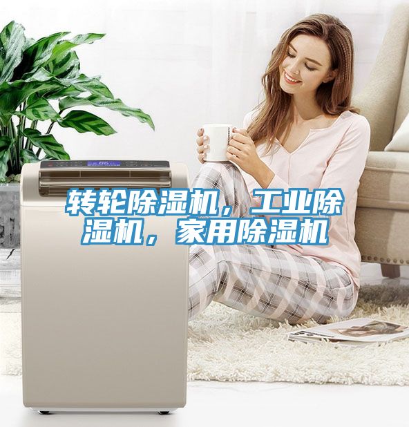 轉輪除濕機，工業(yè)除濕機，家用除濕機
