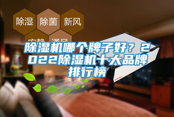 除濕機(jī)哪個牌子好？2022除濕機(jī)十大品牌排行榜