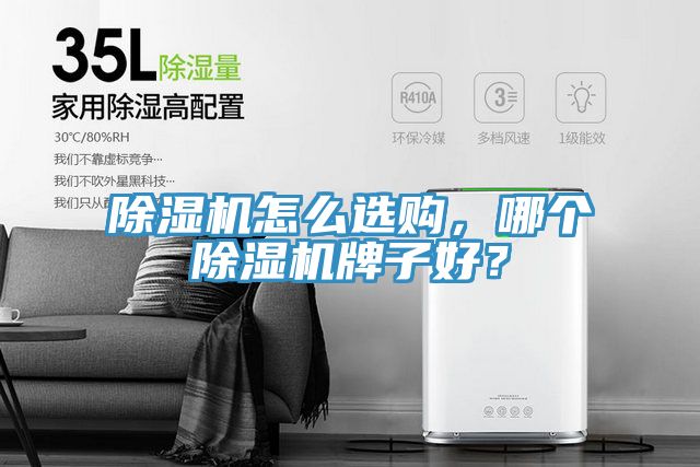 除濕機怎么選購，哪個除濕機牌子好？