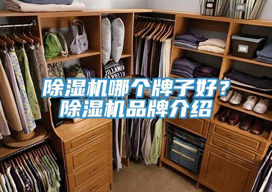 除濕機(jī)哪個牌子好？除濕機(jī)品牌介紹