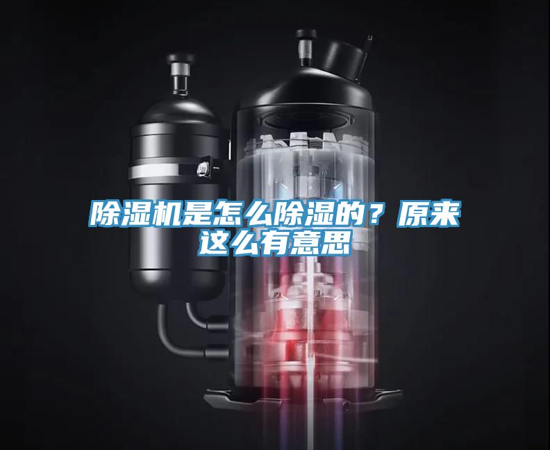 除濕機(jī)是怎么除濕的？原來這么有意思