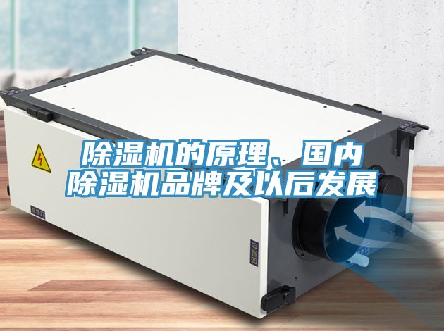 除濕機(jī)的原理、國內(nèi)除濕機(jī)品牌及以后發(fā)展