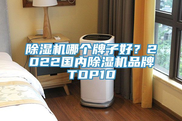 除濕機(jī)哪個牌子好？2022國內(nèi)除濕機(jī)品牌TOP10