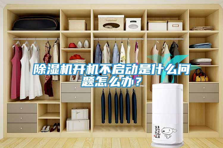 除濕機(jī)開機(jī)不啟動(dòng)是什么問題怎么辦？