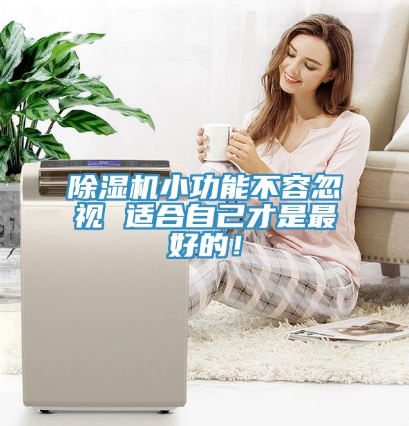 除濕機小功能不容忽視 適合自己才是最好的！