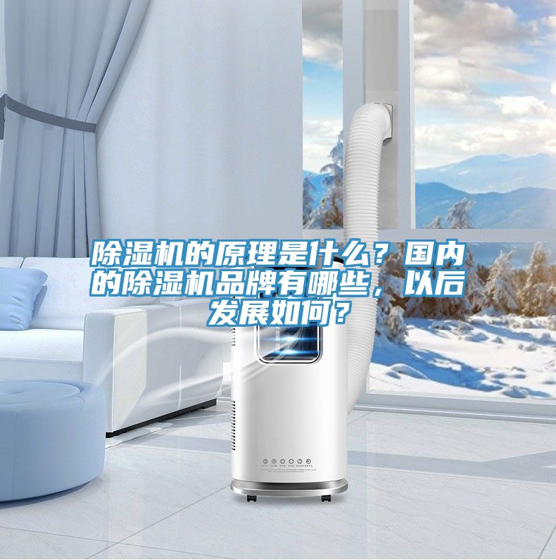 除濕機(jī)的原理是什么？國內(nèi)的除濕機(jī)品牌有哪些，以后發(fā)展如何？