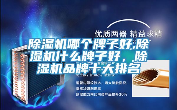 除濕機(jī)哪個(gè)牌子好,除濕機(jī)什么牌子好，除濕機(jī)品牌十大排名
