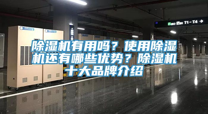 除濕機有用嗎？使用除濕機還有哪些優(yōu)勢？除濕機十大品牌介紹