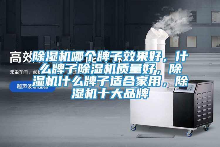 除濕機(jī)哪個(gè)牌子效果好，什么牌子除濕機(jī)質(zhì)量好，除濕機(jī)什么牌子適合家用，除濕機(jī)十大品牌