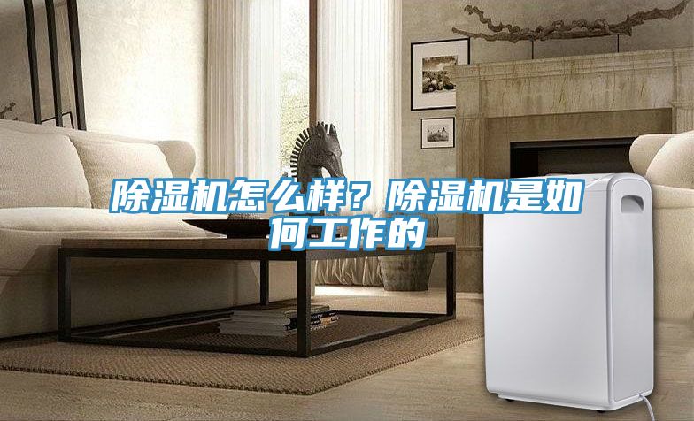 除濕機(jī)怎么樣？除濕機(jī)是如何工作的
