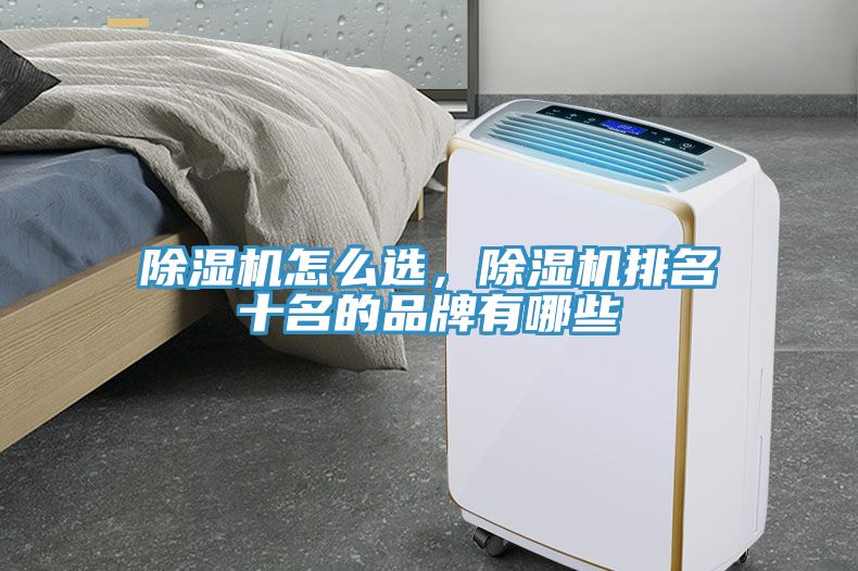 除濕機(jī)怎么選，除濕機(jī)排名十名的品牌有哪些