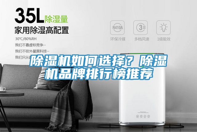 除濕機(jī)如何選擇？除濕機(jī)品牌排行榜推薦