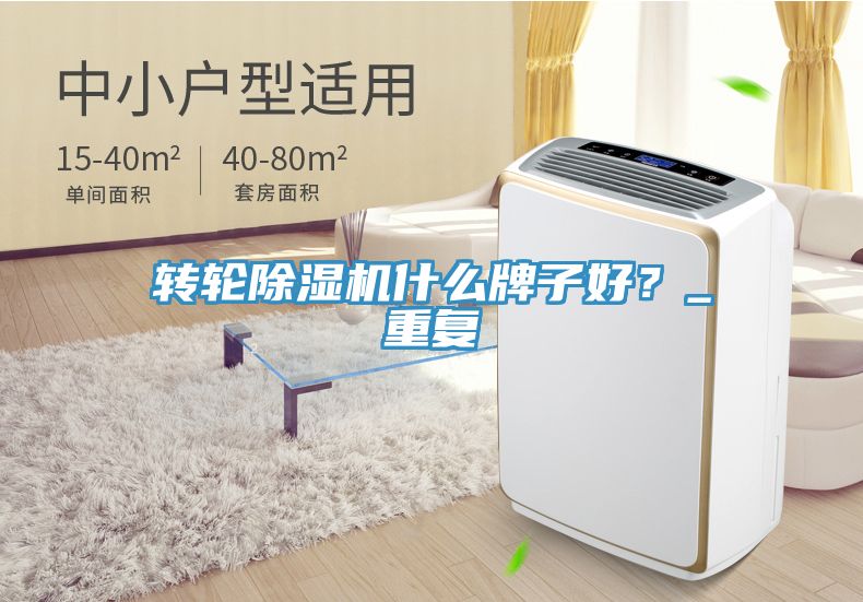 轉(zhuǎn)輪除濕機(jī)什么牌子好？_重復(fù)
