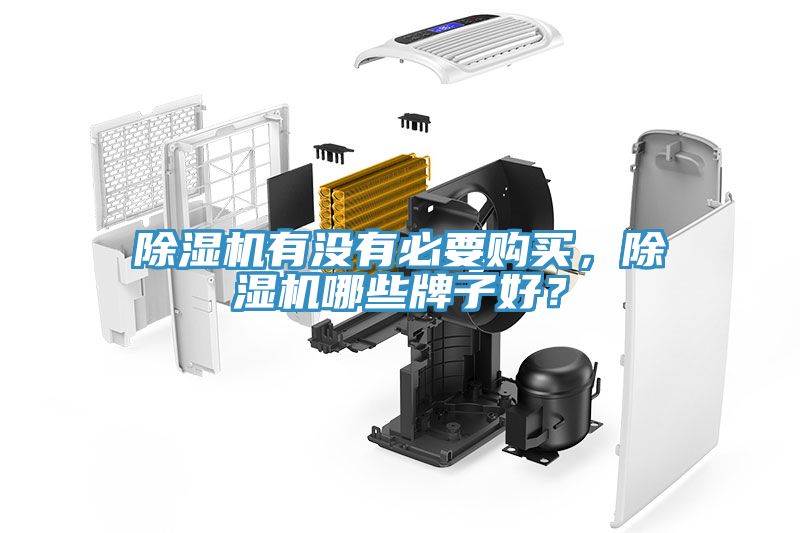 除濕機(jī)有沒有必要購買，除濕機(jī)哪些牌子好？
